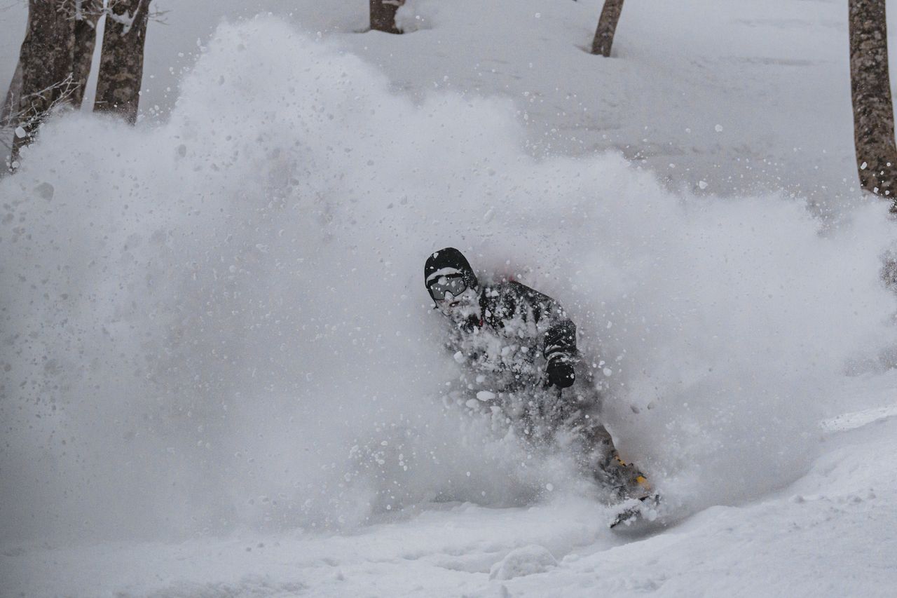 A snowboarder carves through fresh powder snow in a forest setting, creating an exhilarating scene.