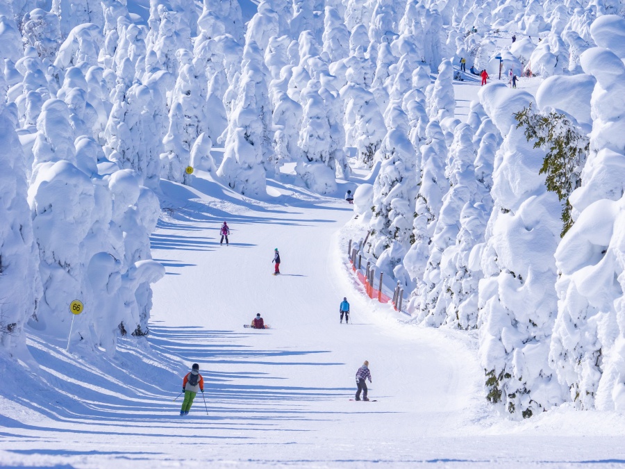 people,racing,down,in,a,slope,through,the,snow,monsters